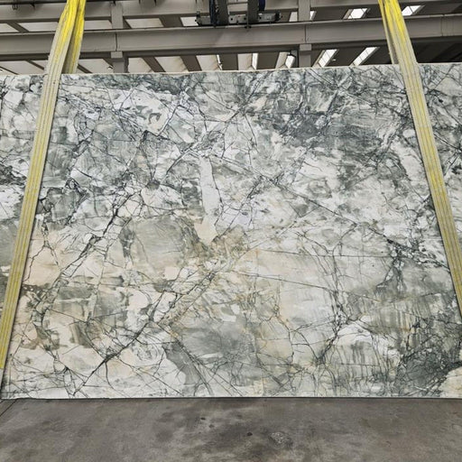 Verde Albueca quartziteplade — hvid baggrund med dramatiske grønne og sorte forgrenede årer i tæt netværk poleret finish